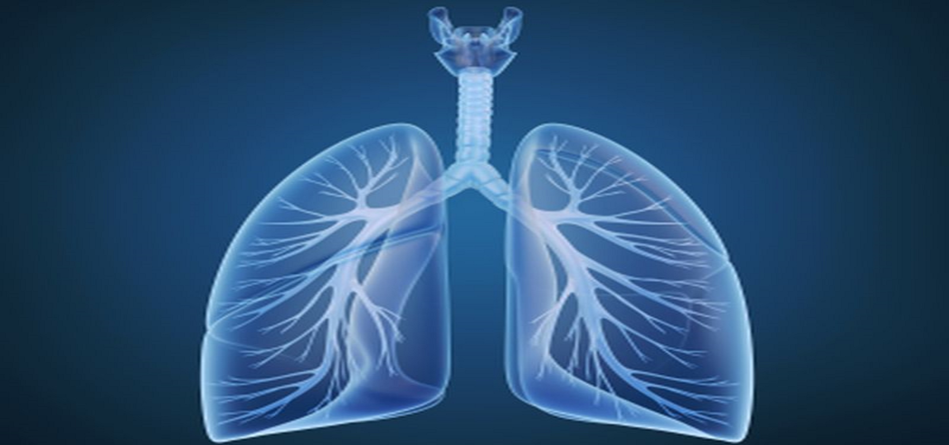 A Rare Case of Sporadic Lymphangioleiomyomatosis with Manifestation of Recurrent Pneumothorax in a Premenopausal Female