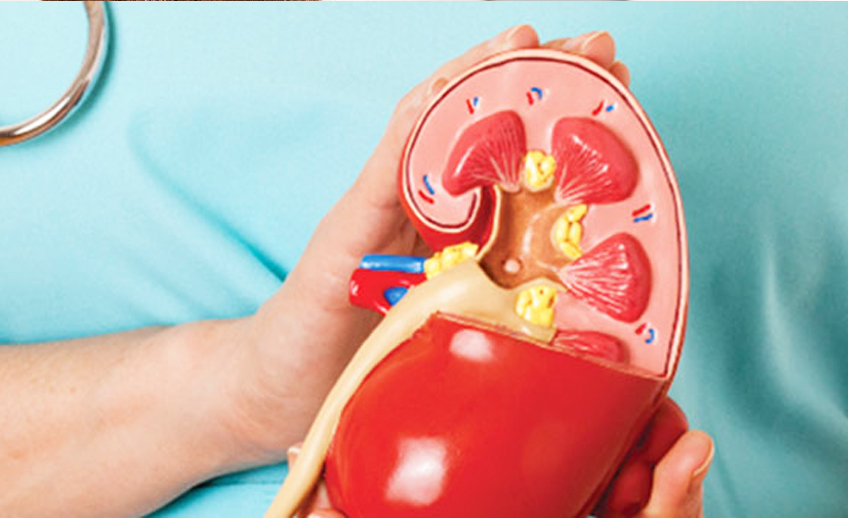 Neonatal (Preterm) Infant Care Market