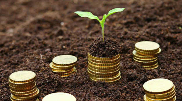 What Determines Premium of MFIs in the Mena Region? A Panel Data Analysis (2004-2014)