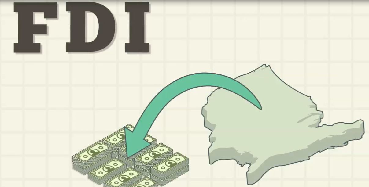 Foreign Direct Investment And Import-Export: The Case Of Pakistan