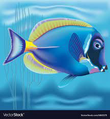 Aquarium Fish Behavior Changes and Issues