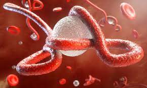 Ebola Virus Development Research and Progress