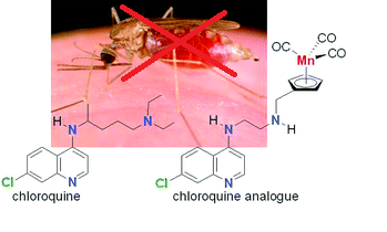 Comparative Study of Antiplasdodial Activity of Aqueous Leaves Extract of Azadirachta indica (Juss), Senna occidentalis (Linn) and Standard Antimalaria on Multiplication of Plasmodium falciparum (Laveran)