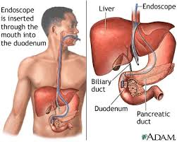 ANNOUNCEMENT GASTROENTEROLOGY 2020 GASTROENTEROLOGY & HEPATOLOGY 2020 SCHEDULED AT DUBAI, UAE DURING AUGUST 26-27, 2020