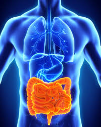 4th International Conference on Digestive Diseases 2020 Market Analysis