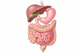 Carcinoid Tumours in Gastroenterology