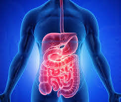 Digestive Disease 2021
scheduled at Venice, Italy during
June 22-23, 2021
