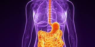 Global Conference on Gastroenterology