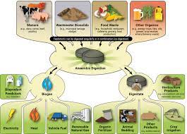 Applications of the Anaerobic Digestion Process