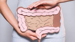 Gastrointestinal Diseases and Gastrointestinal Tract