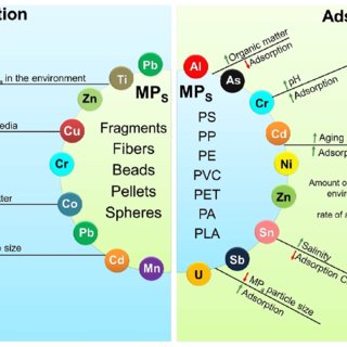 Advancement of Copper Removal from Aqueous Solutions Using Emulsion Liquid Membranes with Benzoylacetone as a Carrier