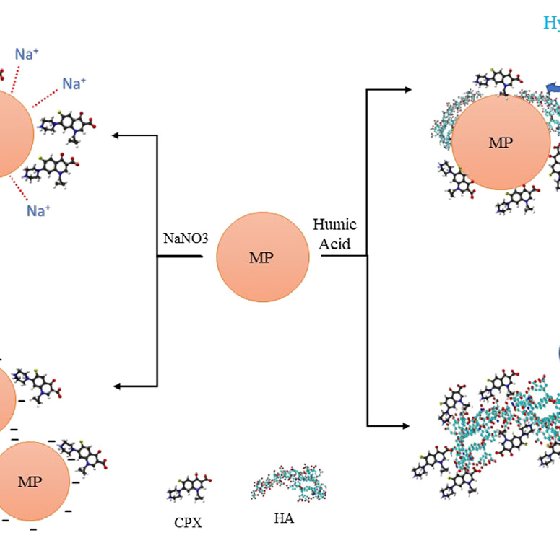 Tunable Inborn Semiconducting Properties of DiketopyrrolopyrroleBased Copolymers with Electron Giving Thiophene and Electron Tolerating Thiazole Moieties