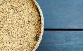 Rice Bran Stabilization using Papain Enzyme