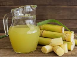 Pathogenic Behaviour Pattern of Colletotrichum falcatum Isolates of Sugarcane in Sub-tropical India