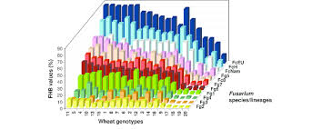 Sulfhydral Compounds Mitigate the Adverse Effect of High Temperature Stress in Contrasting Wheat Genotypes