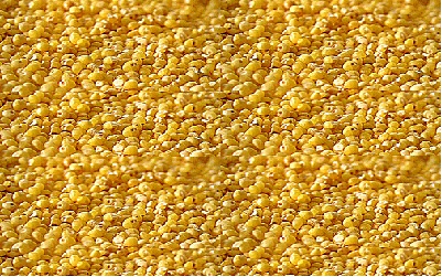 Physicochemical Analysis and Homology Modeling of Antioxidant Proteins of Foxtail
Millet (Setaria Italica)