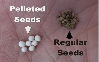 Development and Evaluation of Inclined Plate Metering Mechanism for Onion Pelleted Seeds
