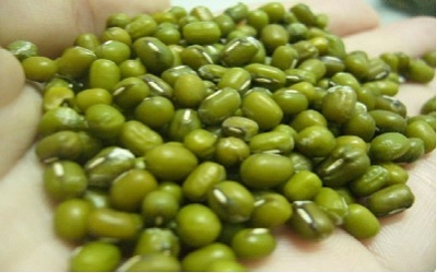 Assessment of Genetic Diversity in Mungbean Genotypes using ISSR Markers