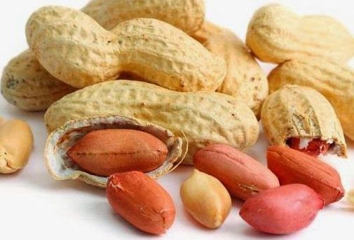 Performance of Groundnut (Arachis hypogaea L) Under Drip and Micro Sprinkler Fertigation System