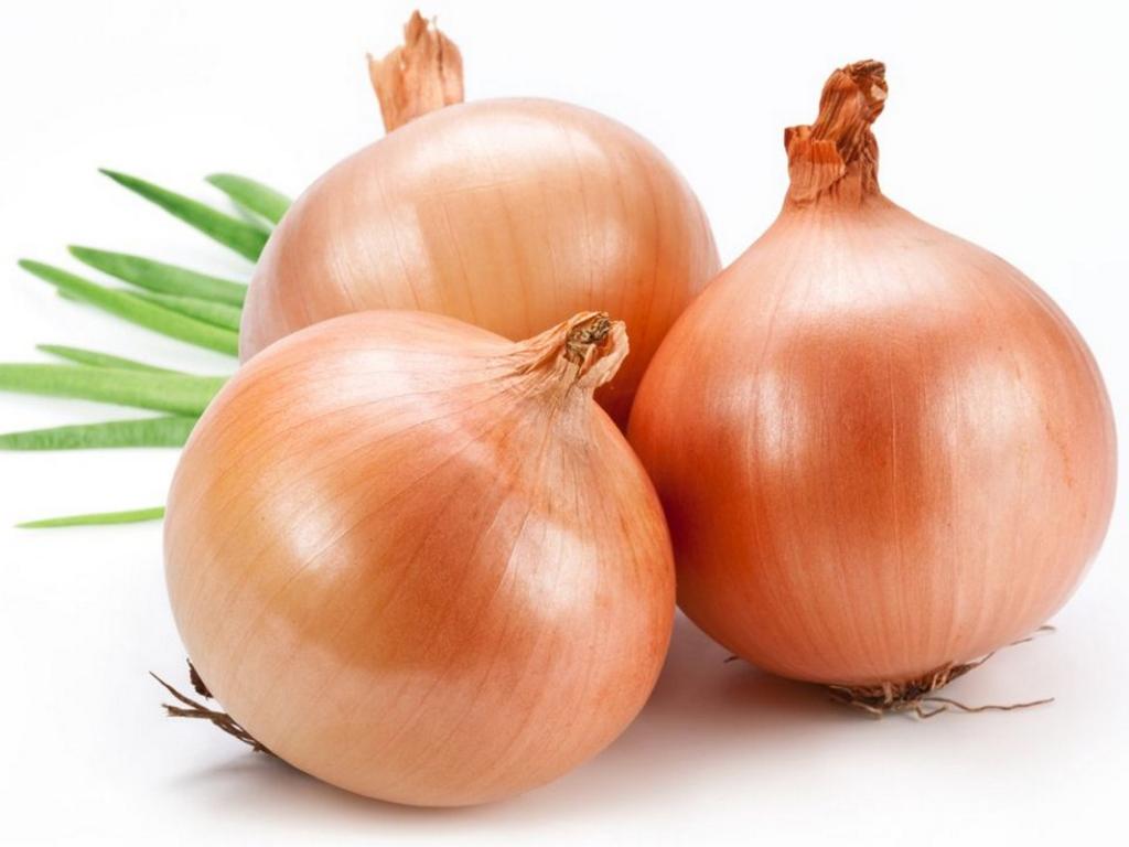 Isolation of Male Sterile and Maintainer Lines from NorthIndian Onion (Allium cepa L.) Populations with the Aid of PCRBased Molecular Marker