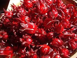 Studies on Genetic Diversity in Roselle (Hibiscus Sabdariffa L.) For Seed Yield and Itâ€™s Contributing Traits in India