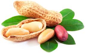 Commercial Peanut Cultivars for the Improvement of Seed Physicochemicals and Fatty Acids